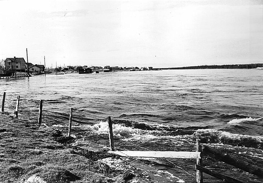 Lainio 18 A.jpg - Högvattenrekord, 1968.